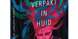 3D-sterren-verpakt-in-huid-klein