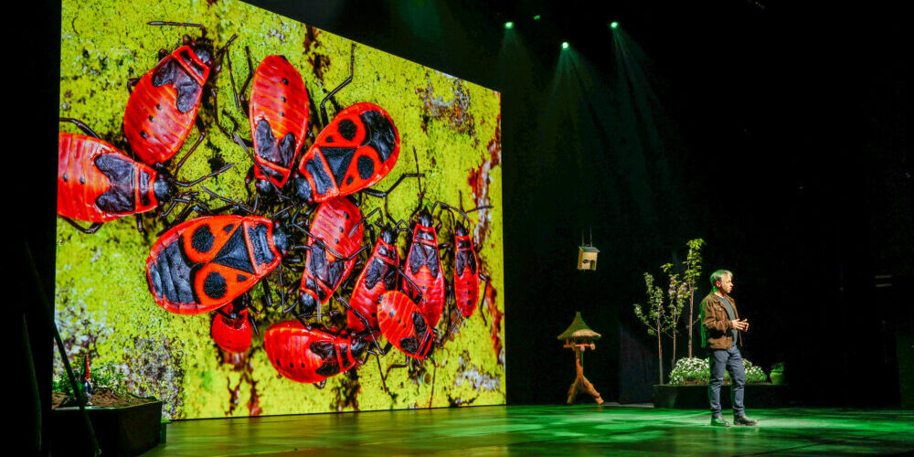 DGS Theatershow foto 10