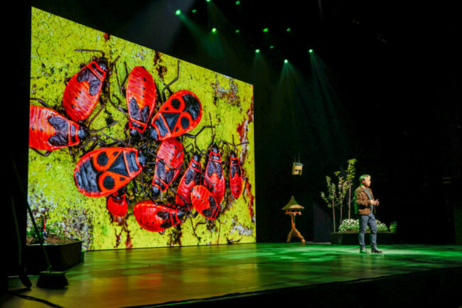 DGS Theatershow foto 10